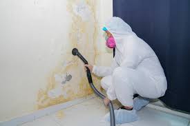 Best Residential Mold Inspection & Testing  in Plentywood, MT